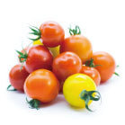 カラフルミニトマト