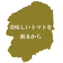 栃木県